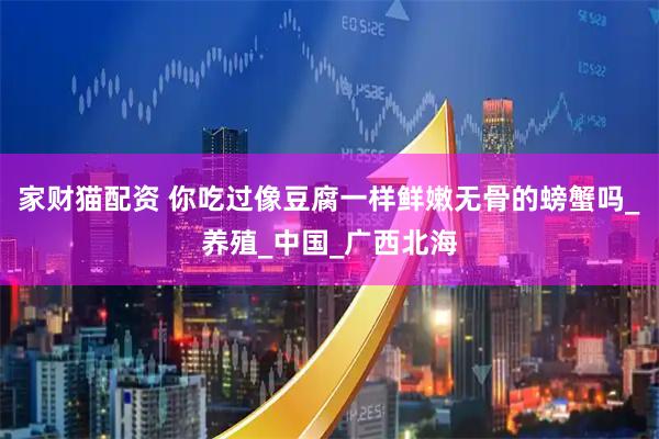 家财猫配资 你吃过像豆腐一样鲜嫩无骨的螃蟹吗_养殖_中国_广西北海