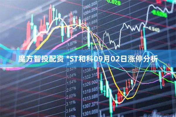 魔方智投配资 *ST和科09月02日涨停分析