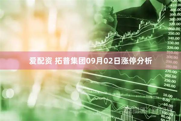 爱配资 拓普集团09月02日涨停分析