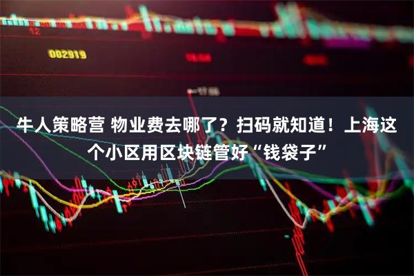 牛人策略营 物业费去哪了？扫码就知道！上海这个小区用区块链管好“钱袋子”