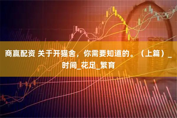 商赢配资 关于开猫舍，你需要知道的。（上篇）_时间_花足_繁育