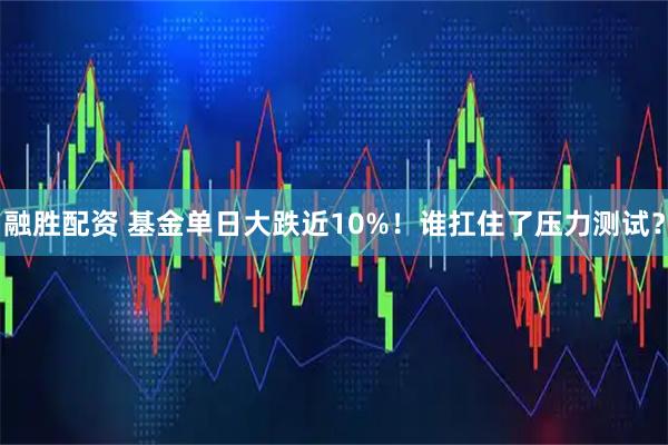 融胜配资 基金单日大跌近10%！谁扛住了压力测试？